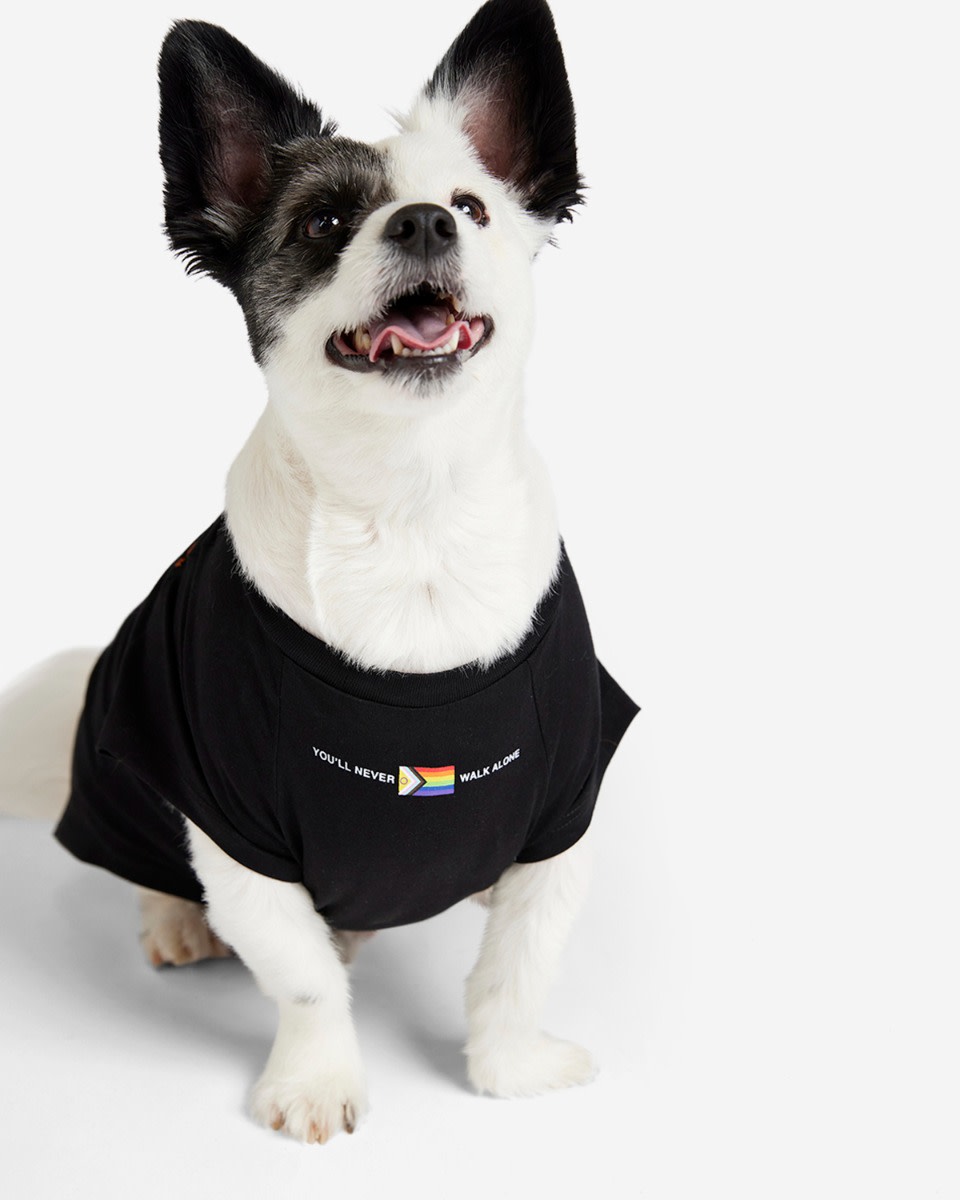 T-shirt Liverbird Pride du LFC pour chien - Image 1