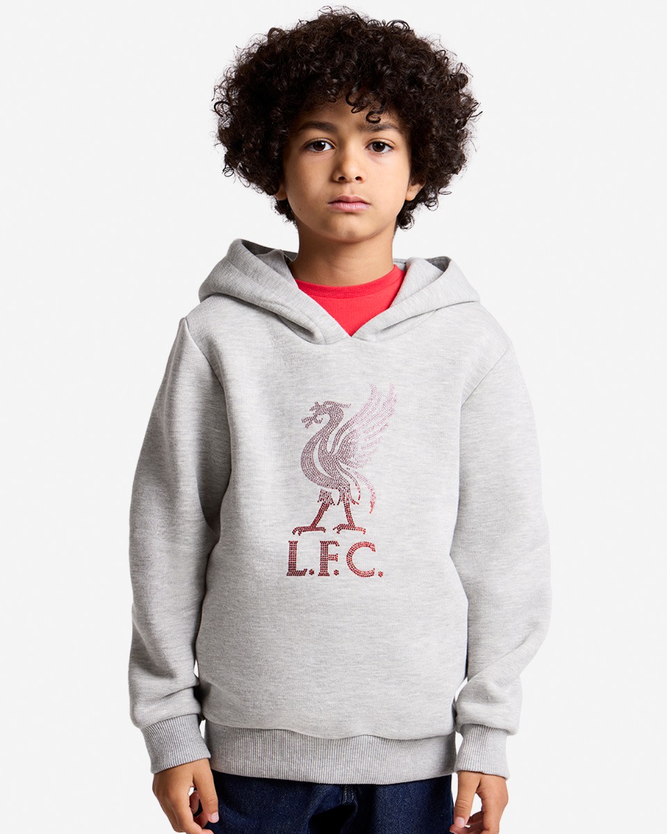LFC 青少年 Diamenté Liverbird 连帽衫灰色 - Image 1