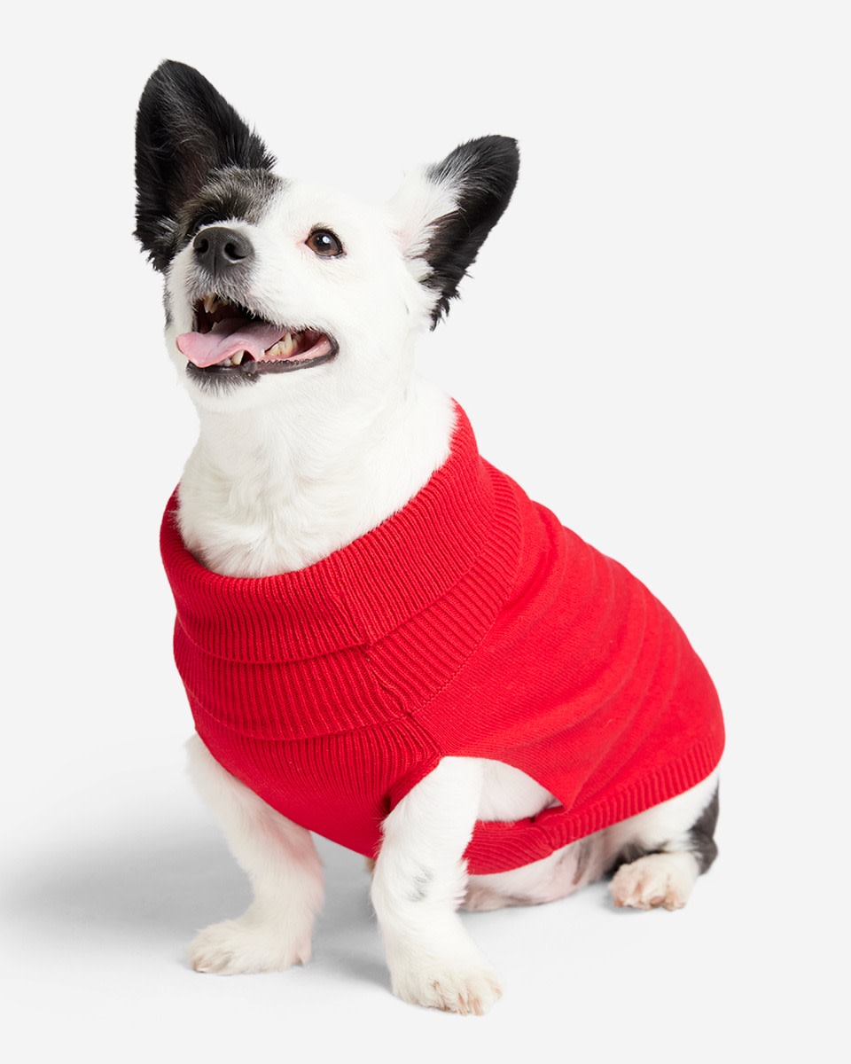 LFC Dog Knitted Jumper - Image 2