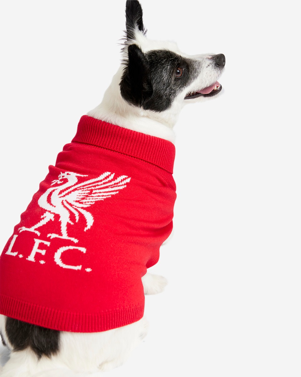 LFC Dog Knitted Jumper - Image 1