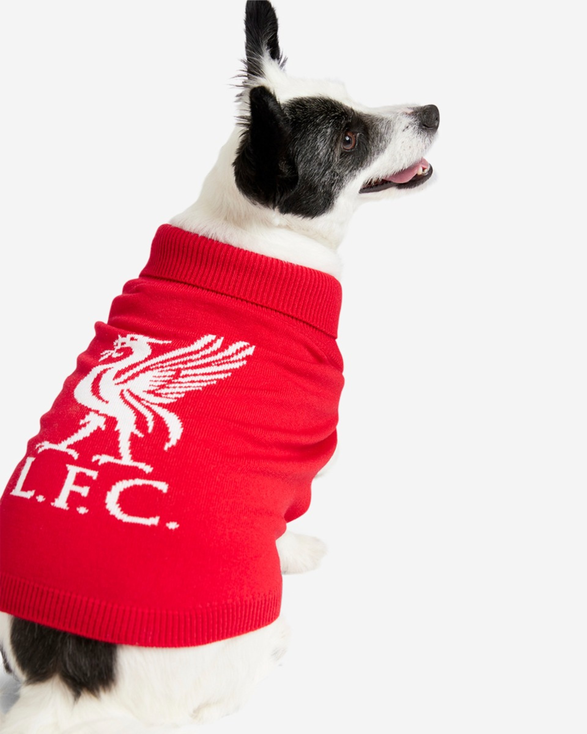 จัมเปอร์ถักสุนัข LFC - Image 1