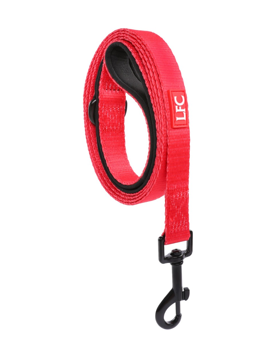LFC Pet Lead - Image 1