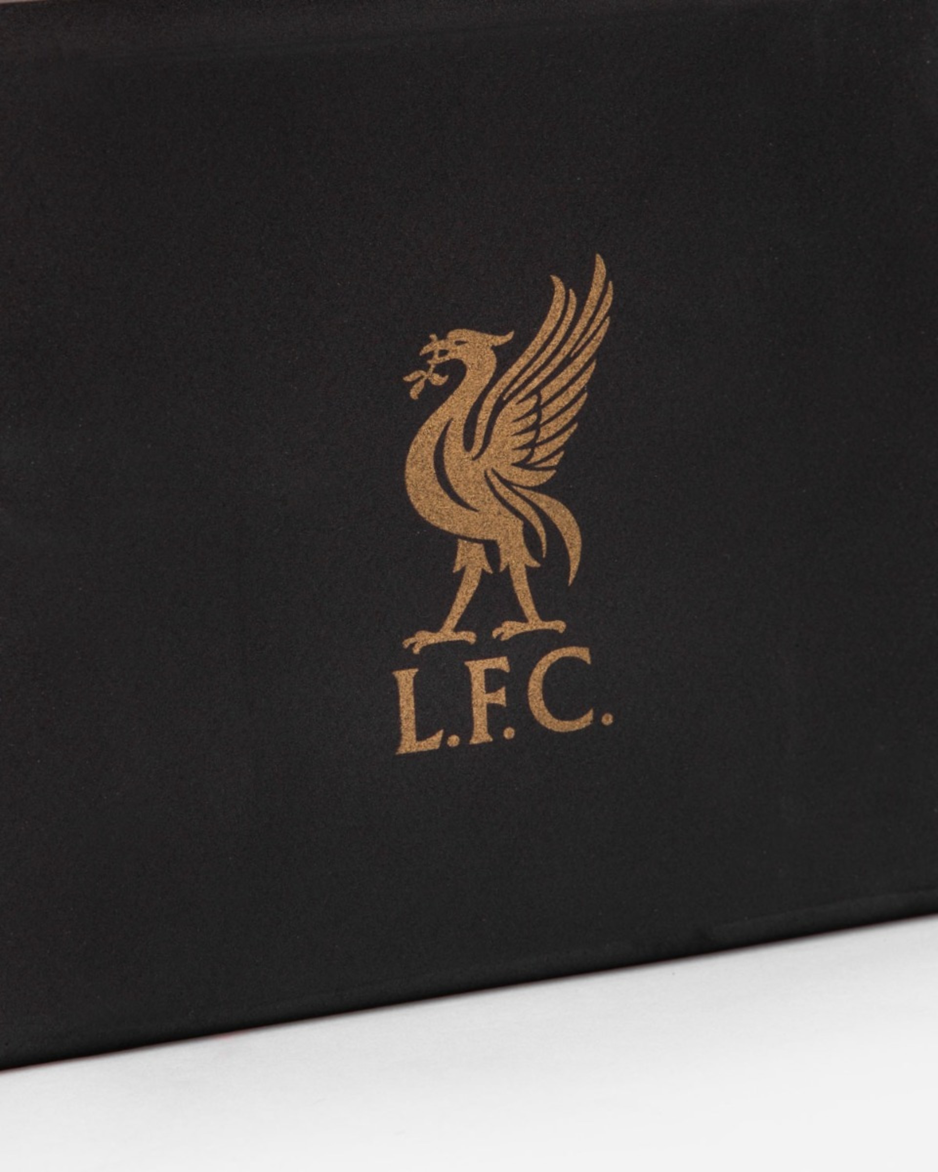 Bloque de yoga LFC - Image 2