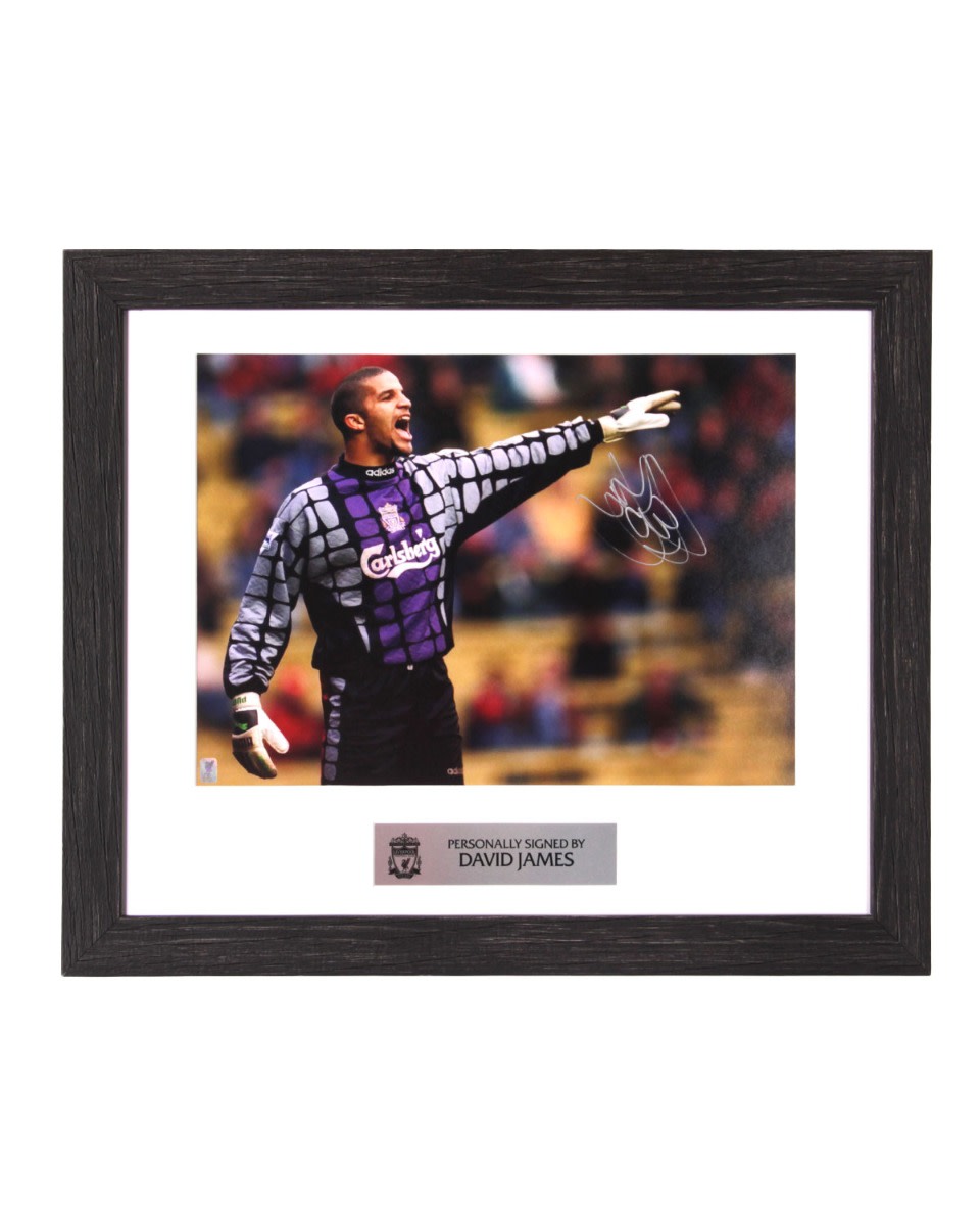 LFC 签约 David James 图片 - Image 1