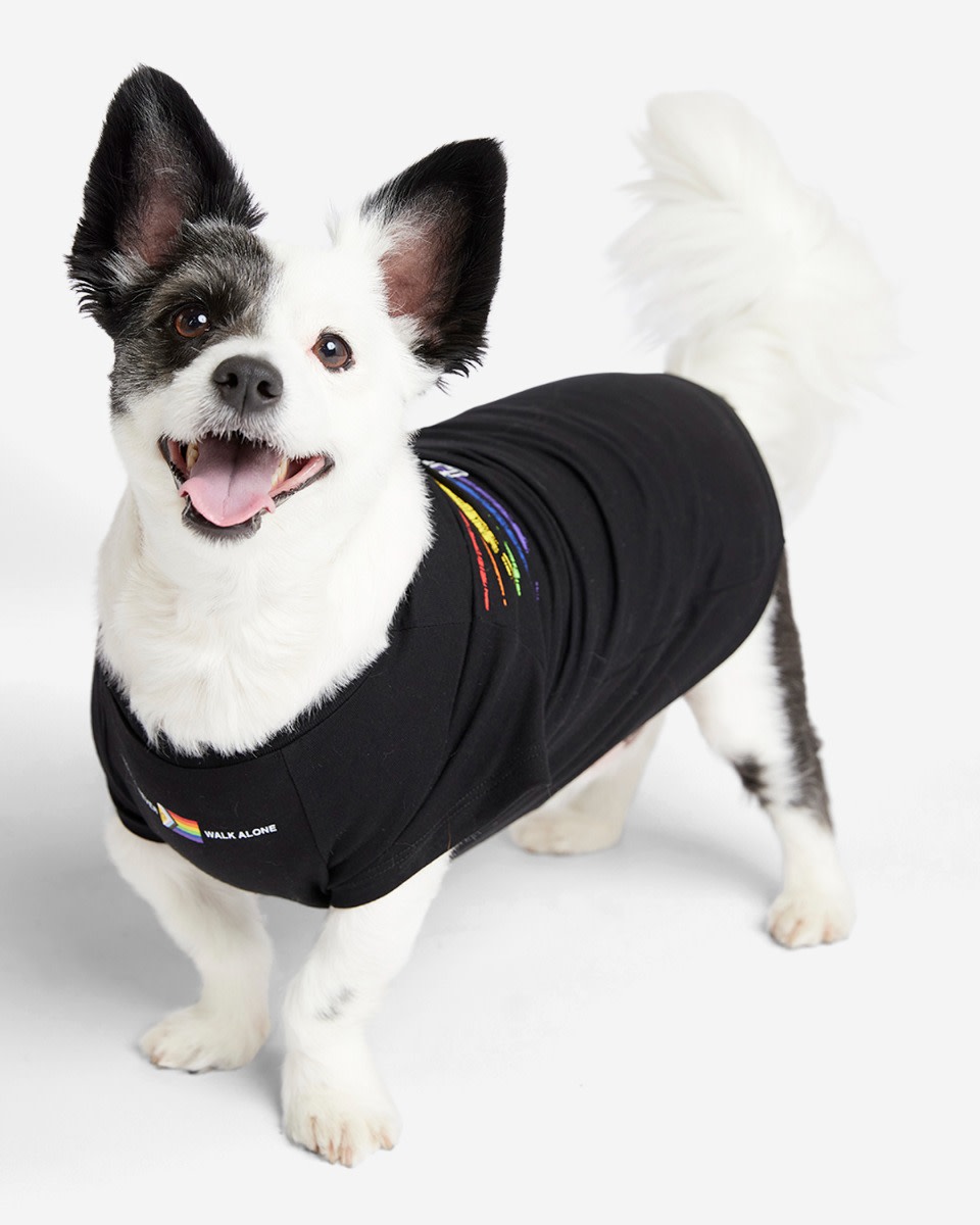 T-shirt Liverbird Pride du LFC pour chien - Image 4