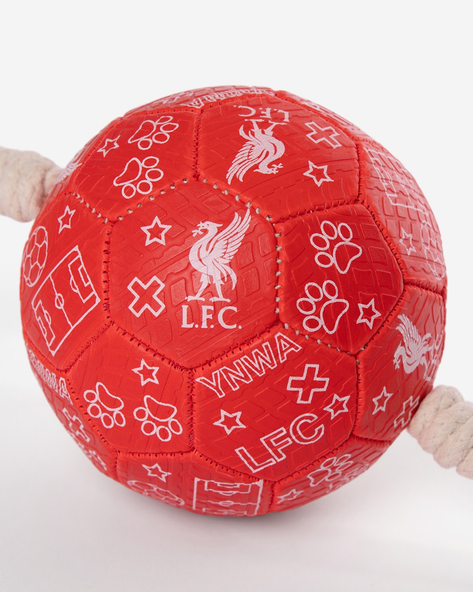 LFC Hundefodbold - Image 2