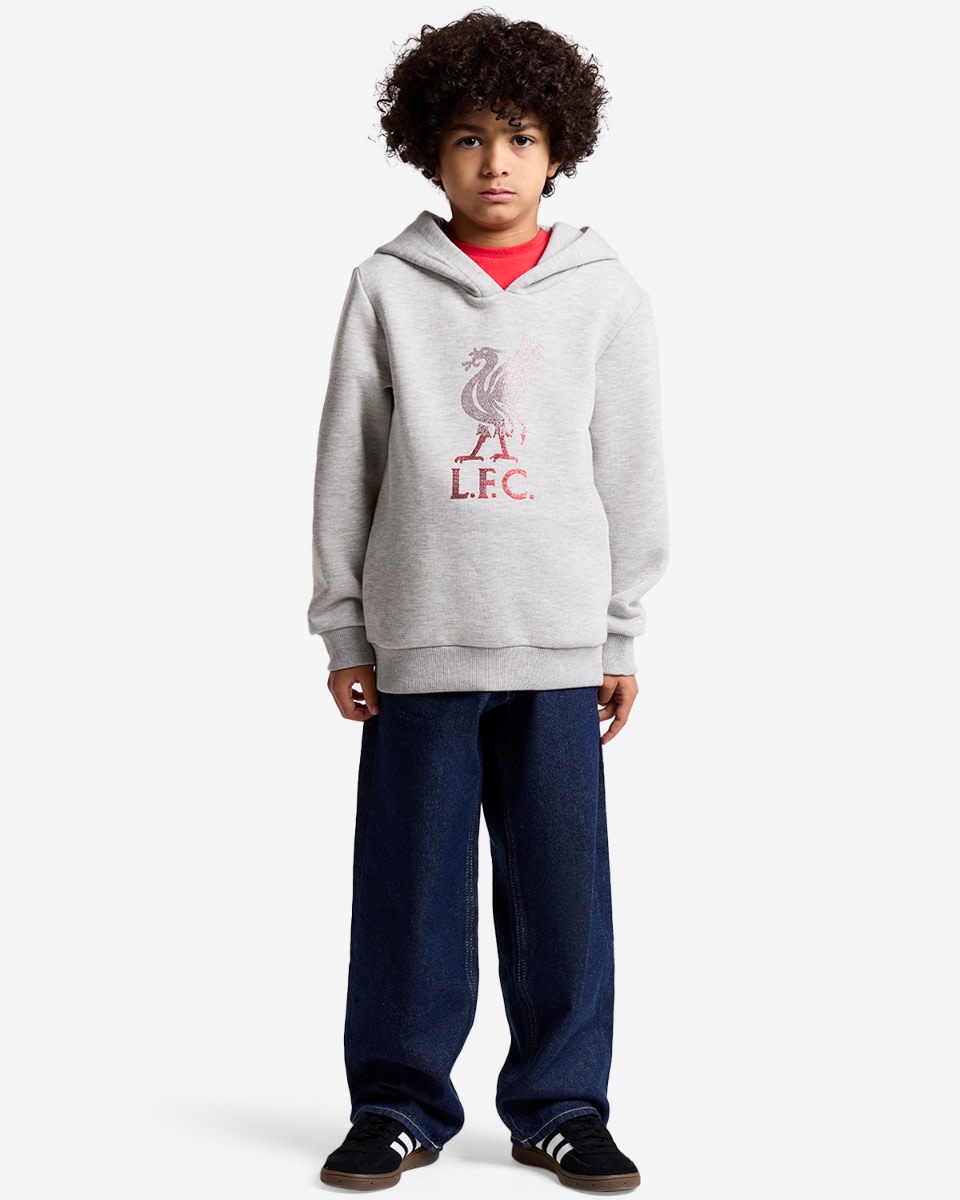 LFC 青少年 Diamenté Liverbird 连帽衫灰色 - Image 3