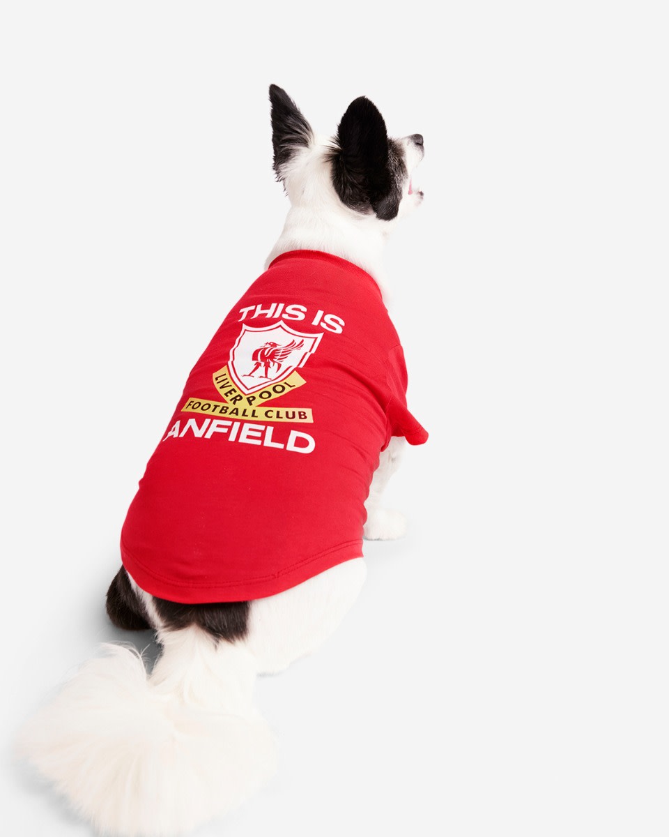 LFC Dog Detta är Anfield Tee - Image 1