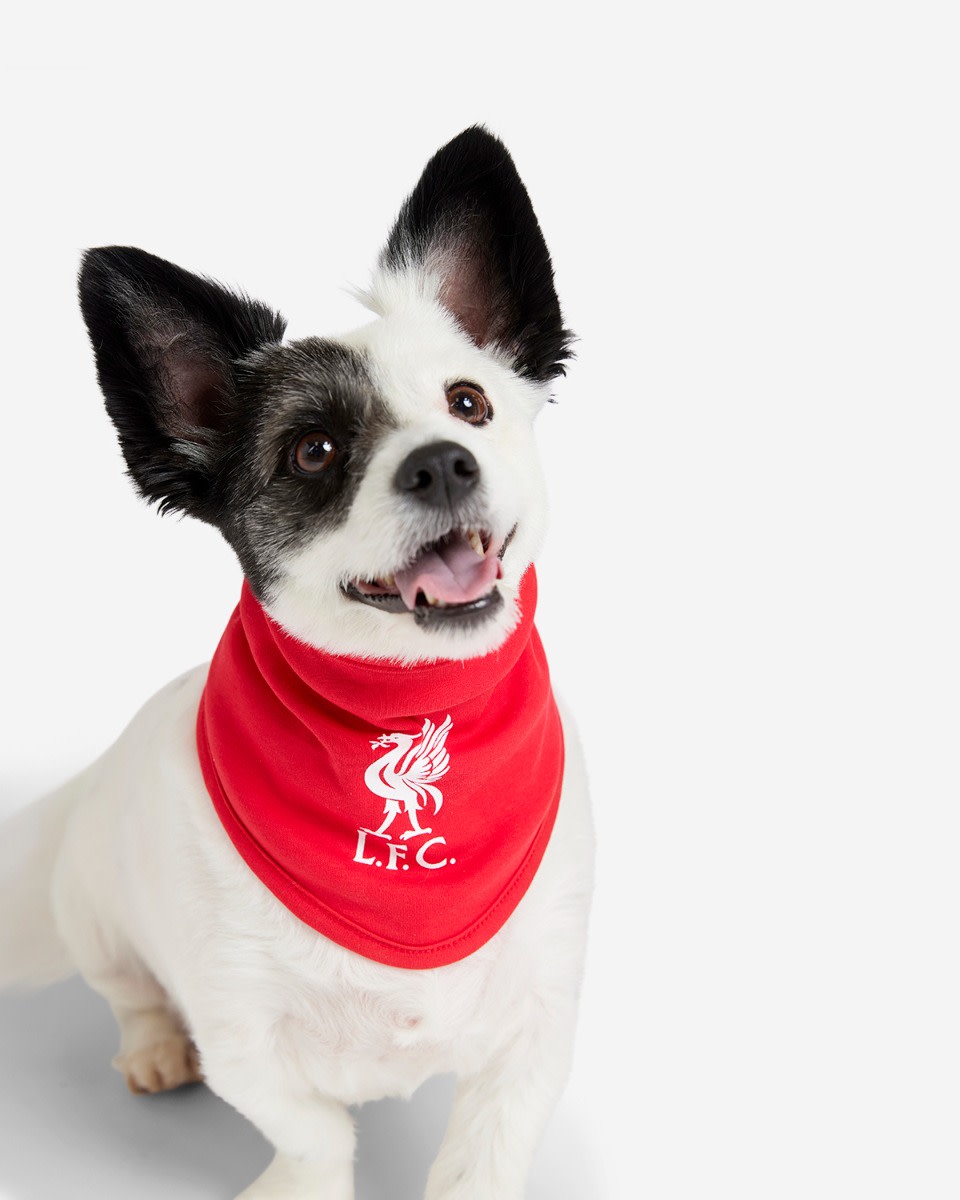LFC Pet Reversible Bandana - Image 1