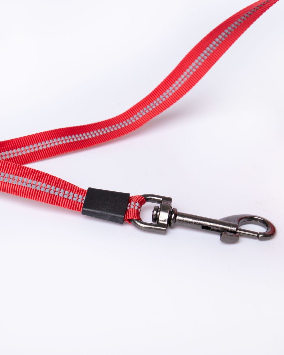 LFC Hi-Vis Dog Lead - Image 2