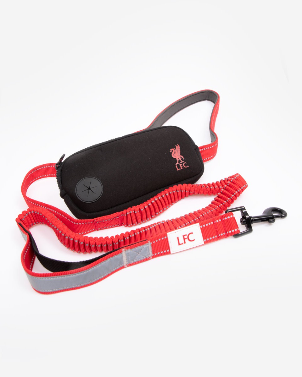 LFC hundeløbsledning - Image 1