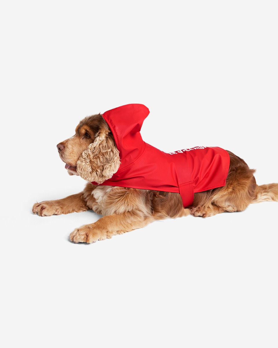 LFC Pet Regnfrakke - Image 2