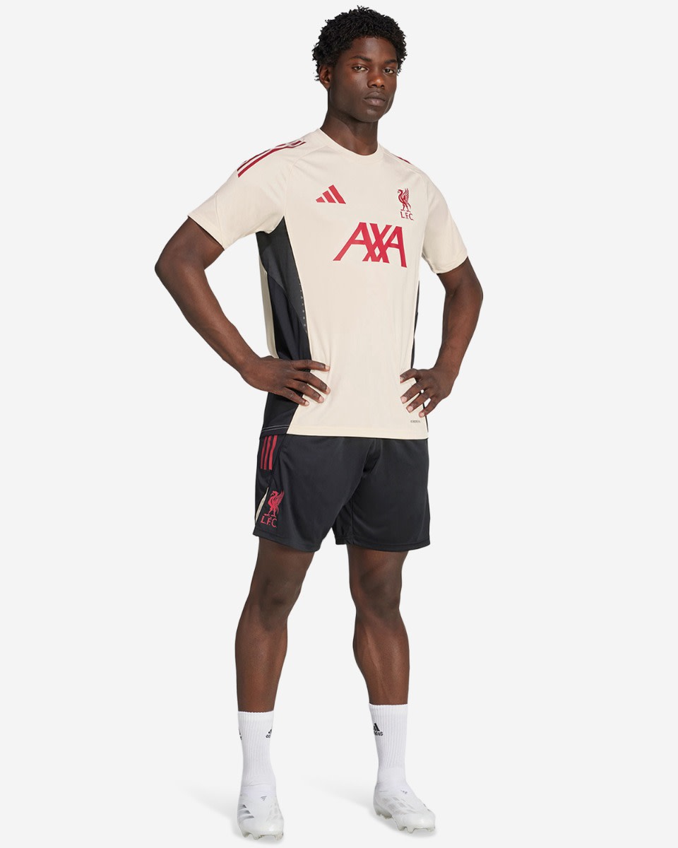 LFC adidas Mens 25/26 Domestic Training Shorts Black - Image 3