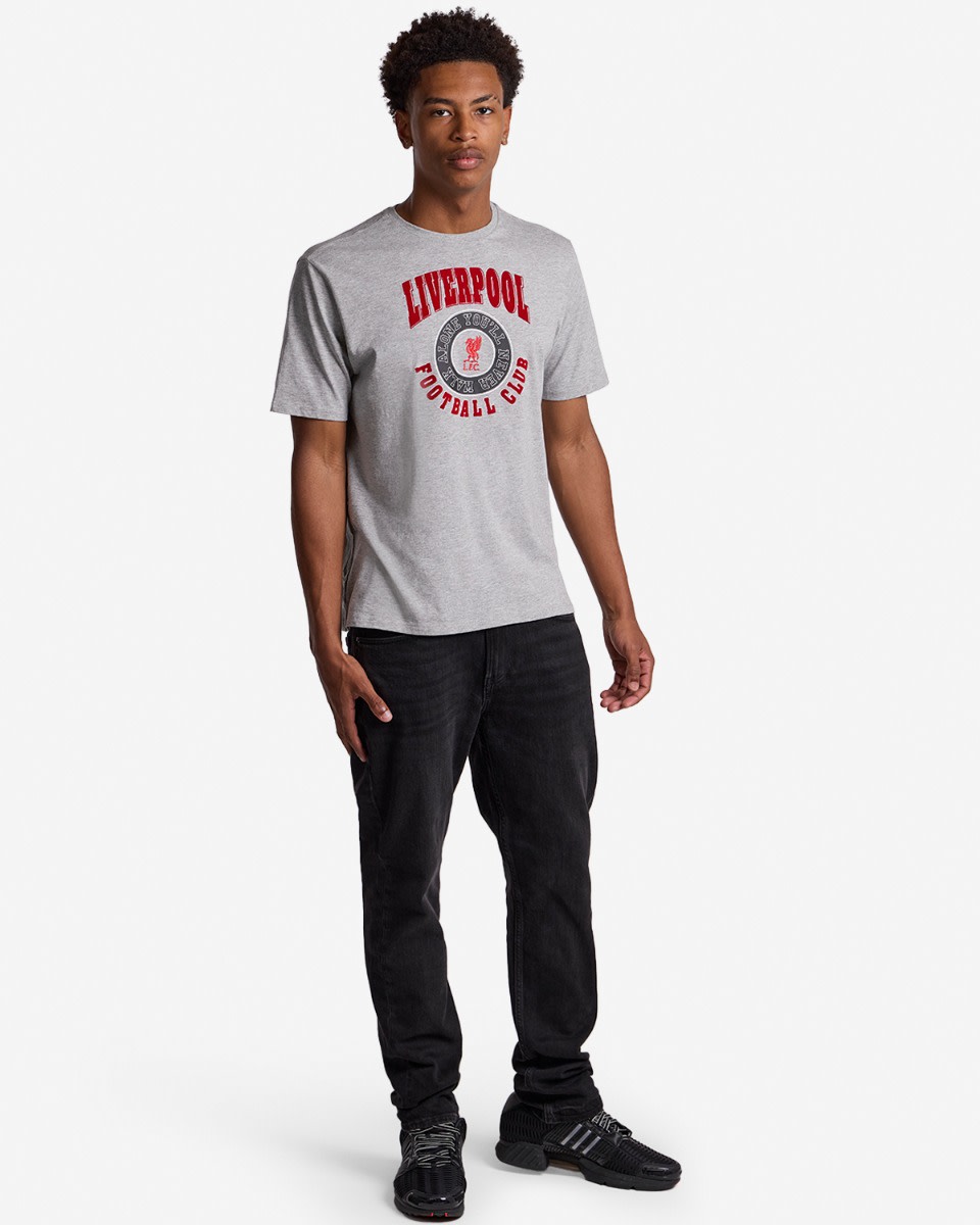 LFC Herre Collegiate Tee Grå - Image 3