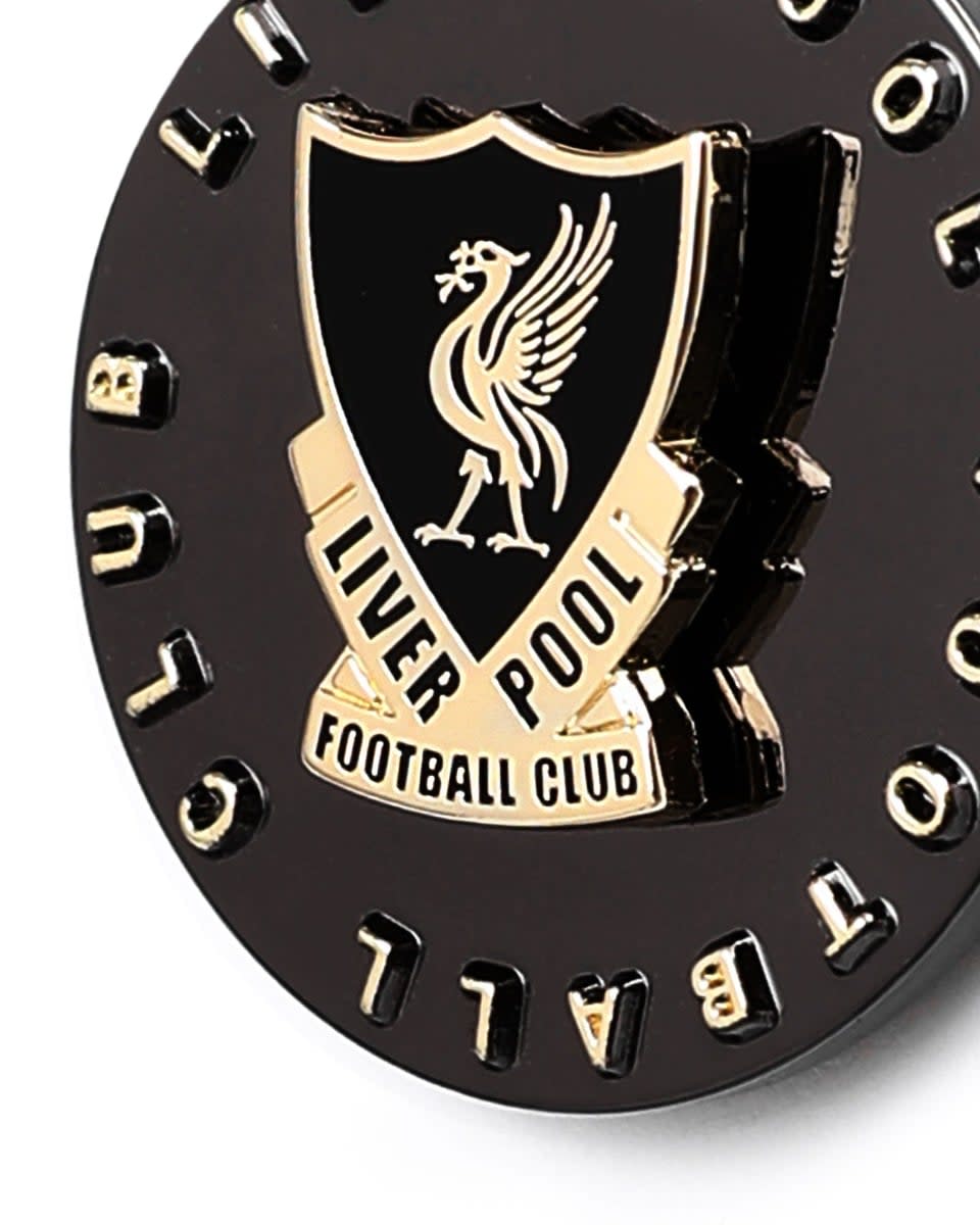 LFC 旋转磁铁 - Image 2