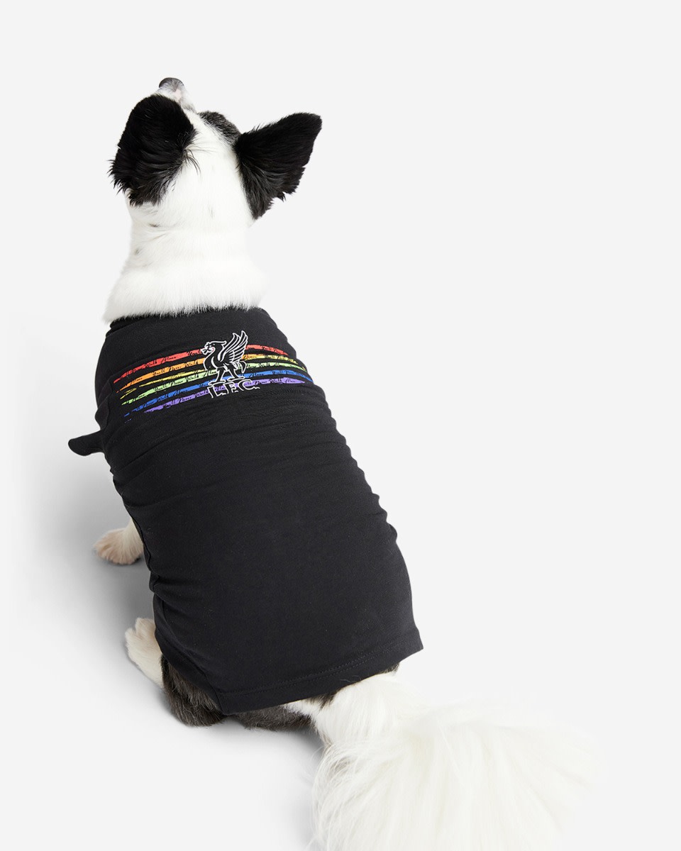 T-shirt Liverbird Pride du LFC pour chien - Image 3
