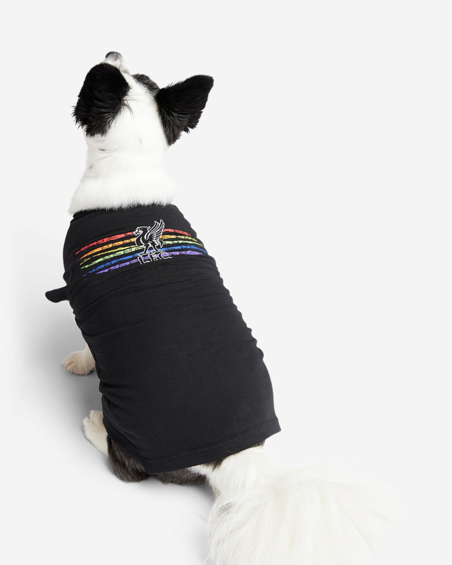 LFC Dog Liverbird Pride Tee - Image 3