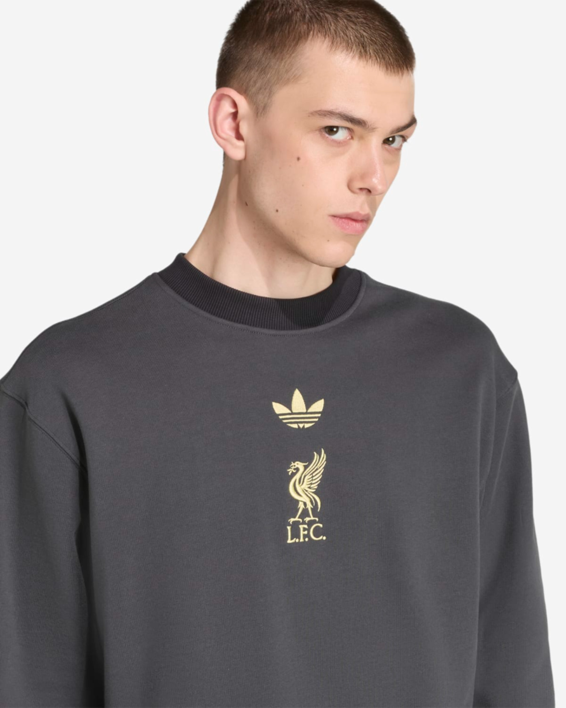 เสื้อสเวตเตอร์ผู้ชาย LFC adidas 25/26 LFSTLR Crew สีเทาเข้ม - Image 4