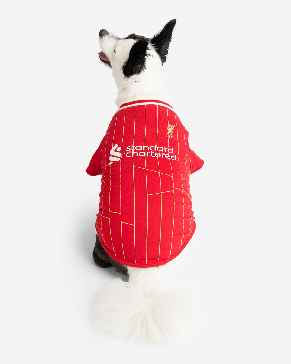 LFC 24/25 Heimtier-T-Shirt - Image 2