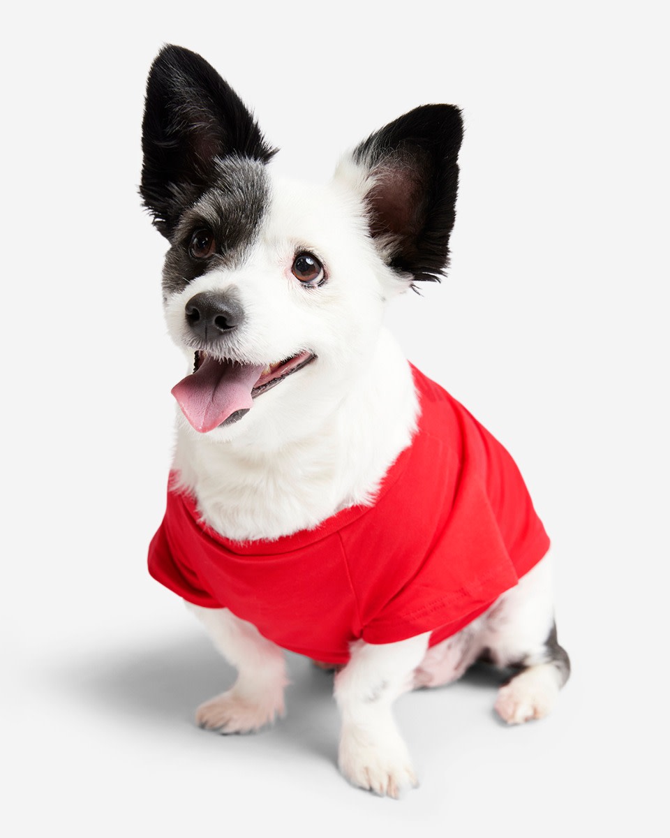 LFC Pet Forever Red Tee - Image 2