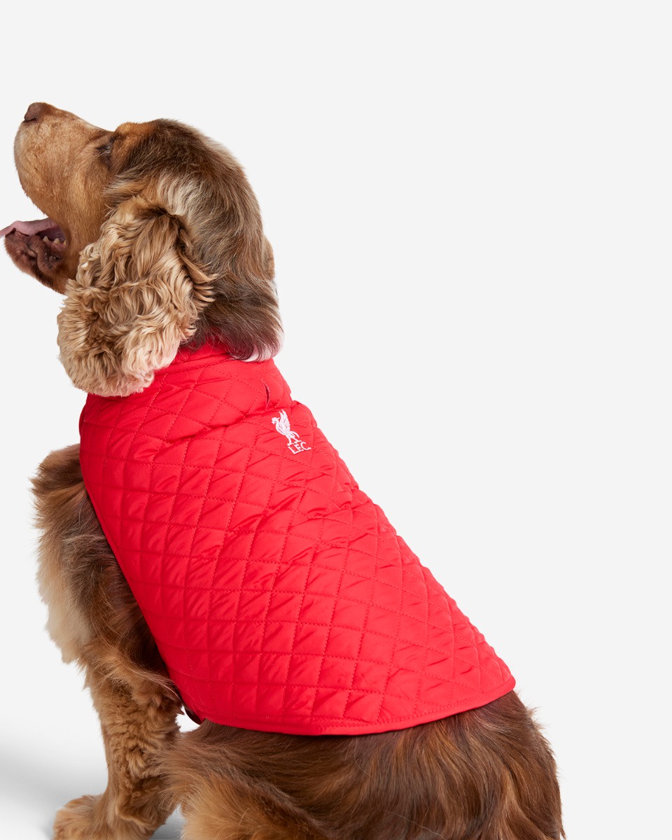 LFC Dog Quilted Jacket - Image 2