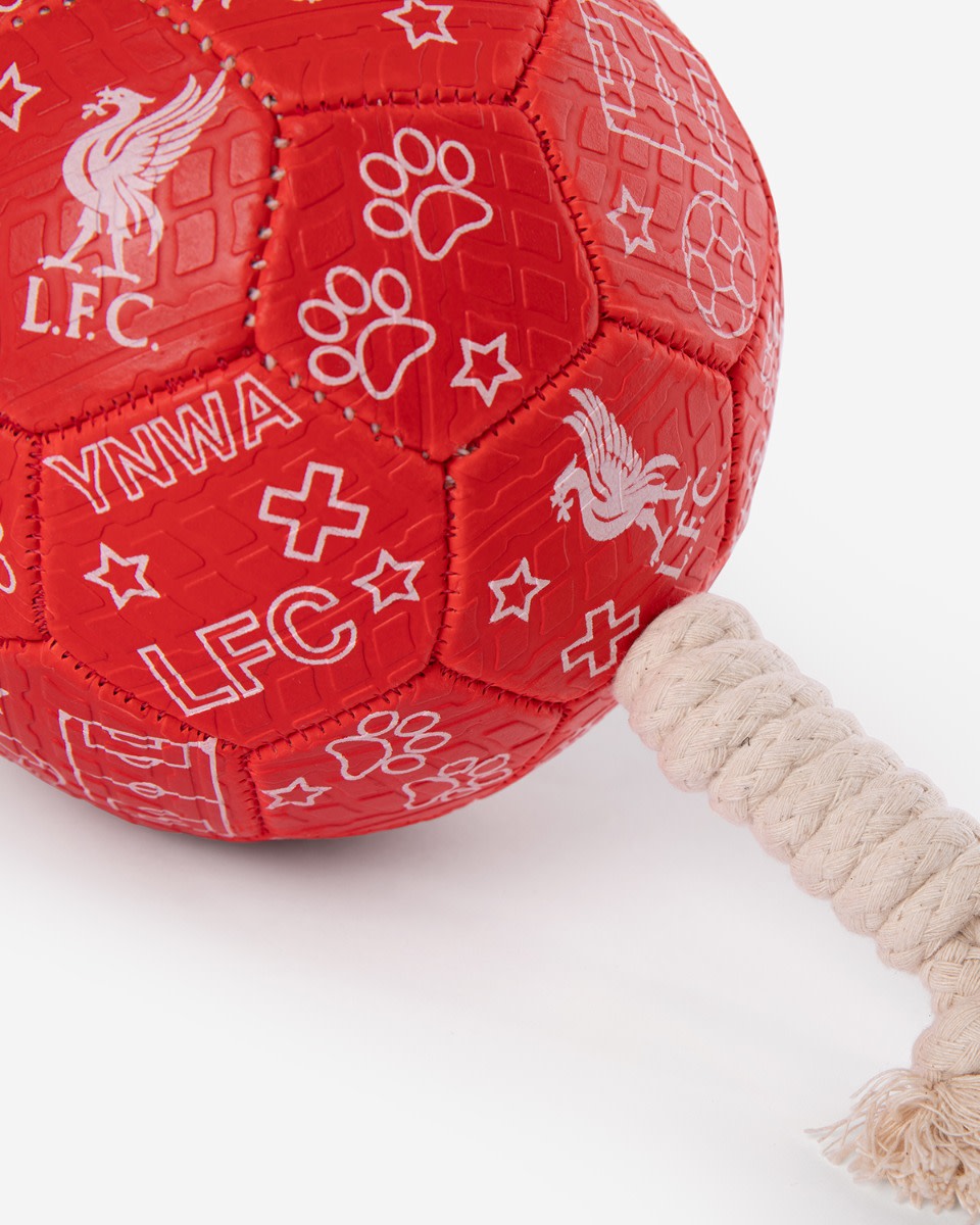 LFC Hundefodbold - Image 3