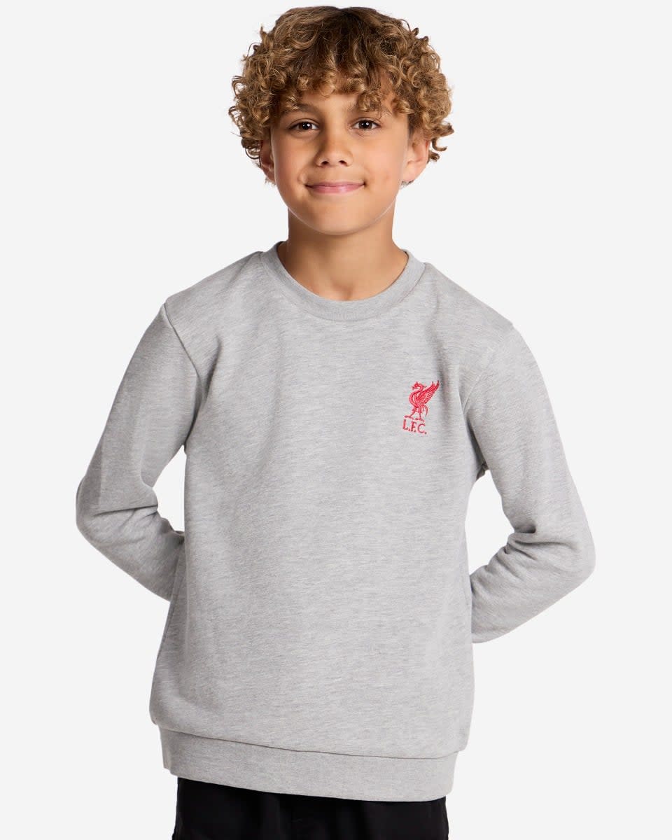 Sudadera LFC Juniors con cuello redondo, gris jaspeado - Image 1