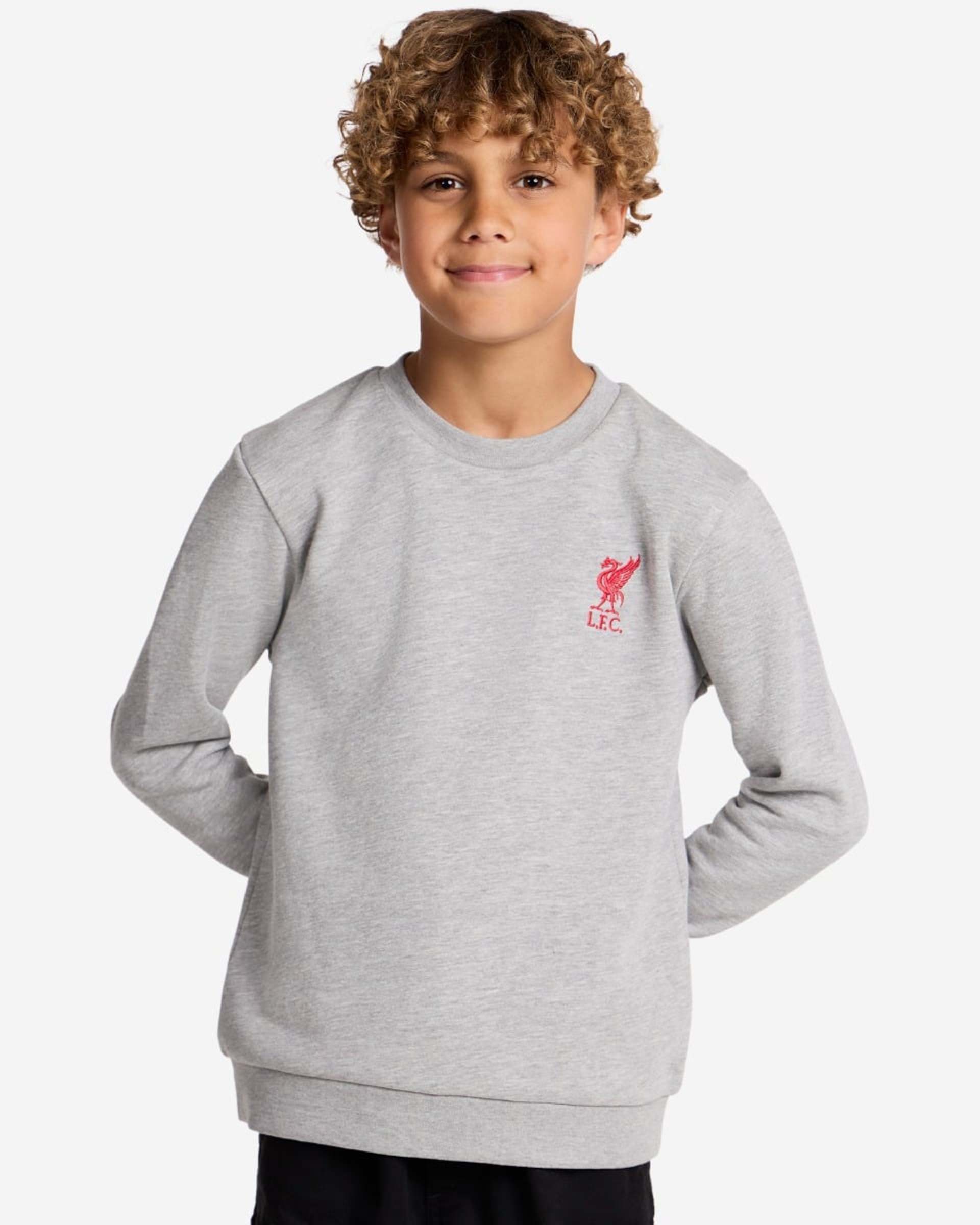 Sudadera LFC Juniors con cuello redondo, gris jaspeado - Image 1