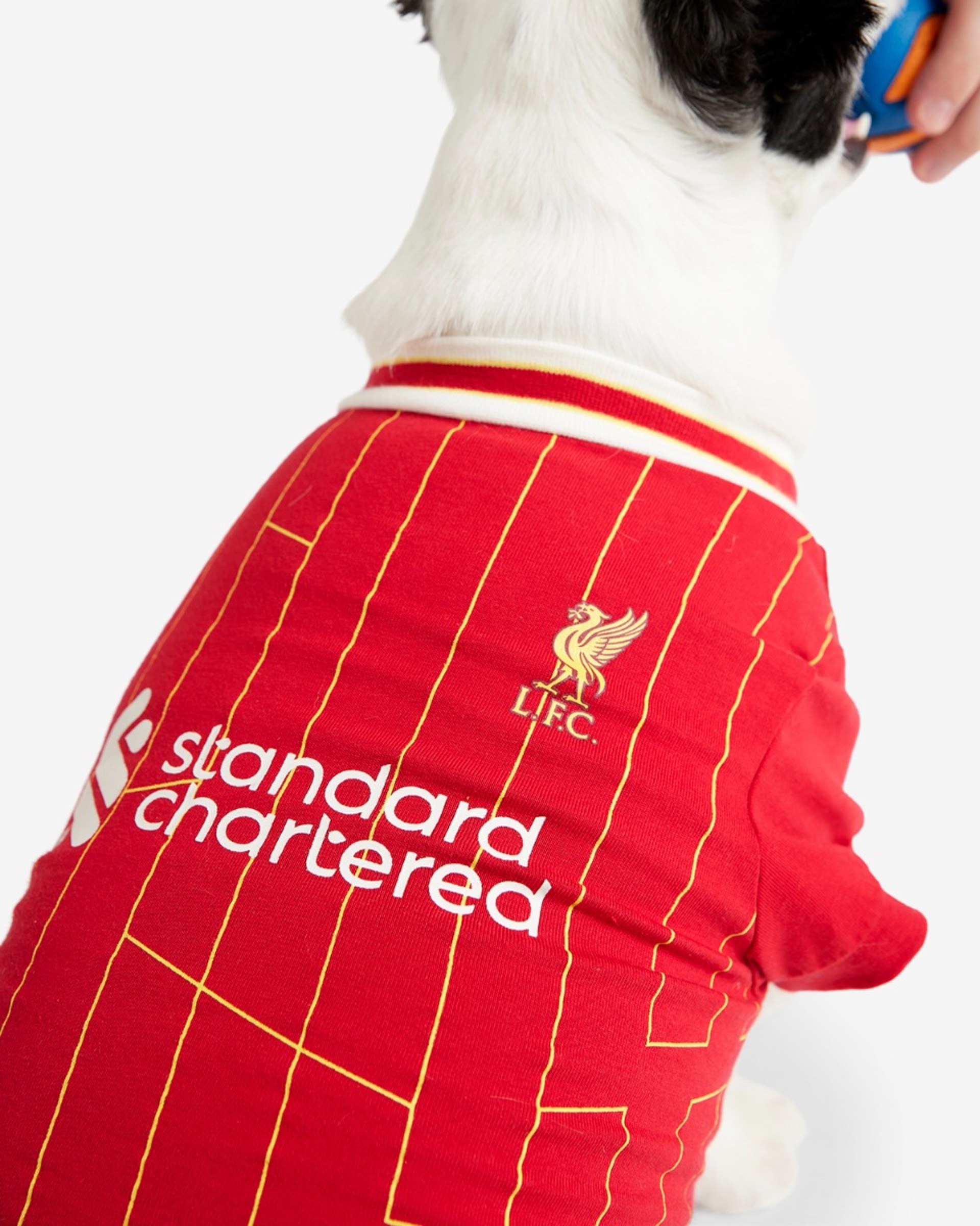 LFC 24/25 Heimtier-T-Shirt - Image 4