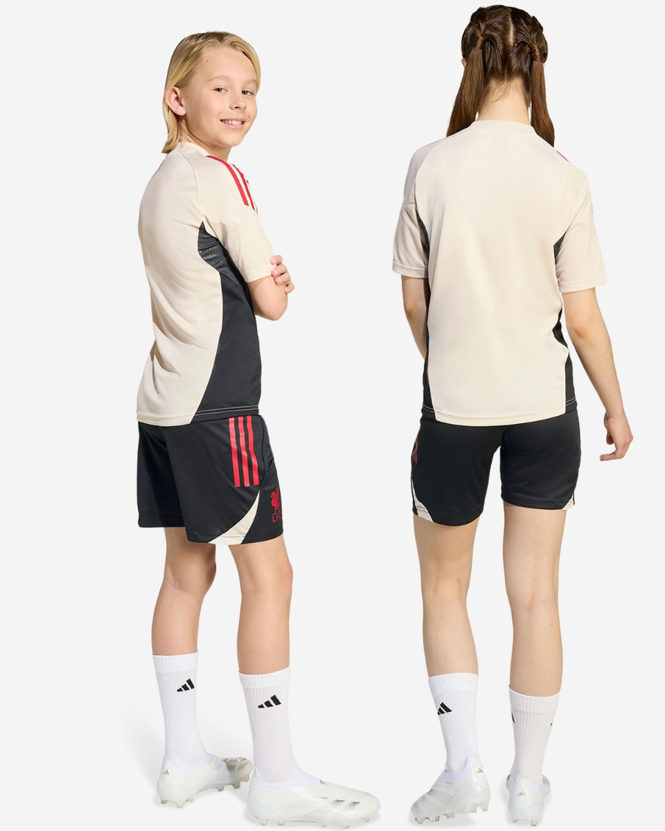 LFC adidas Youth 25/26 Domestic Training Shorts Black - Image 4