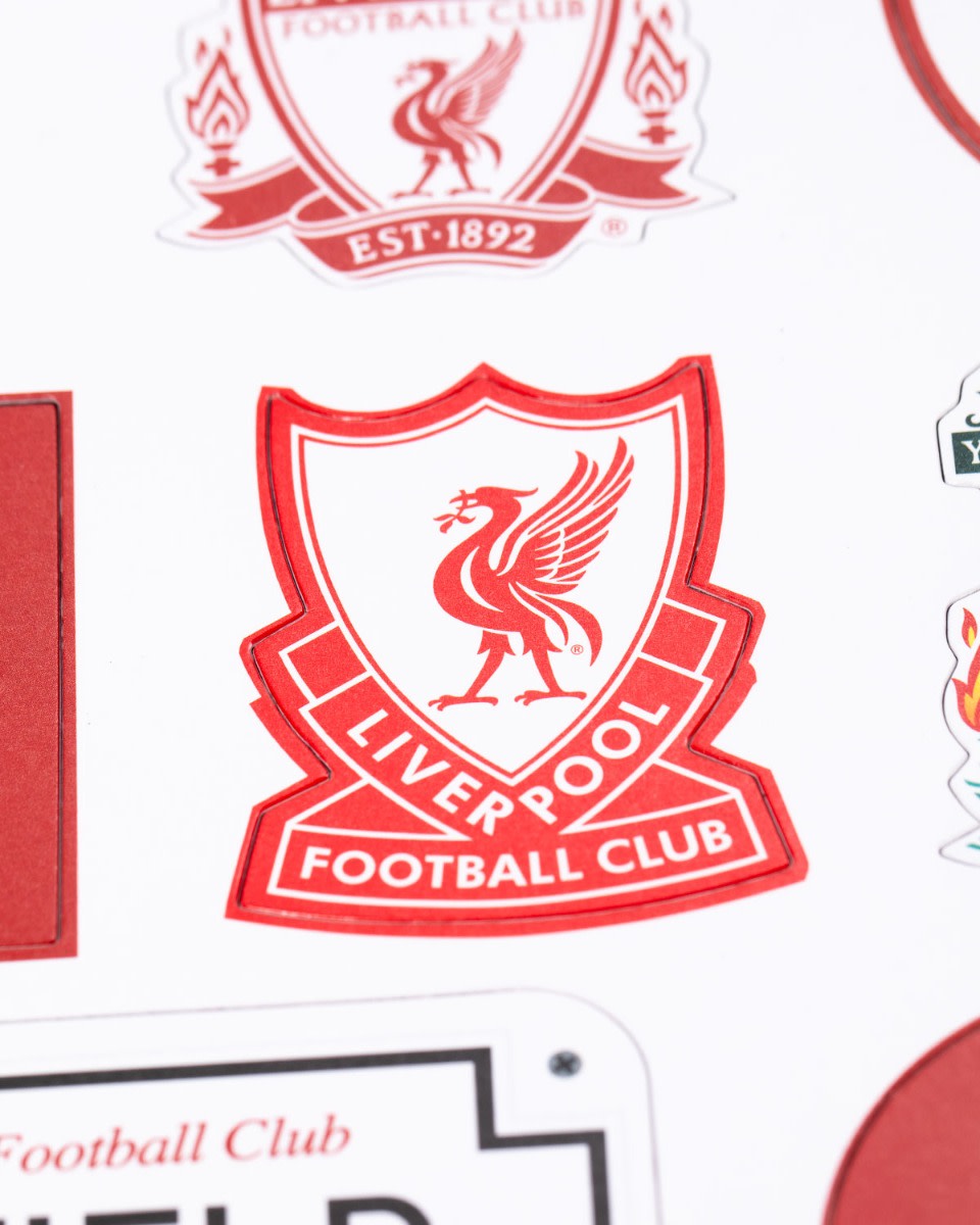 LFC 18 Magnet Set - Image 3