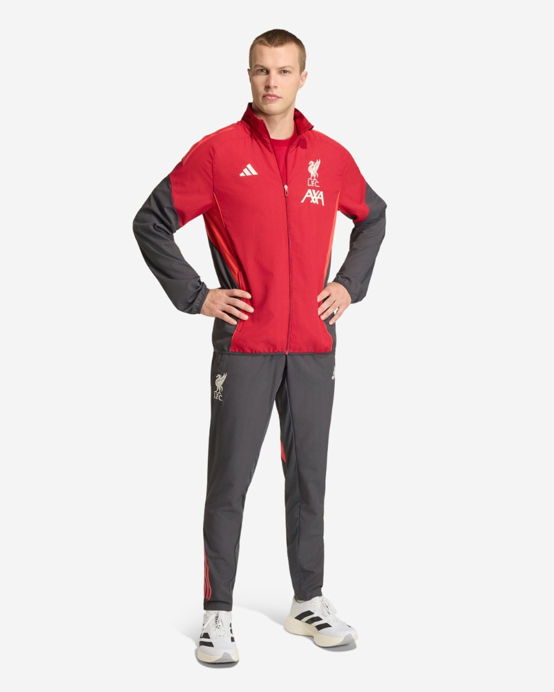 LFC adidas กางเกงฝึกก่อนการแข่งขันบุรุษ 25/26 สีดำ - Image 4