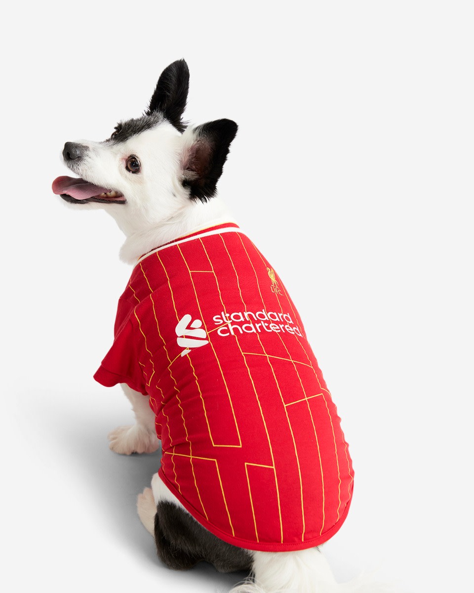LFC 24/25 Heimtier-T-Shirt - Image 1