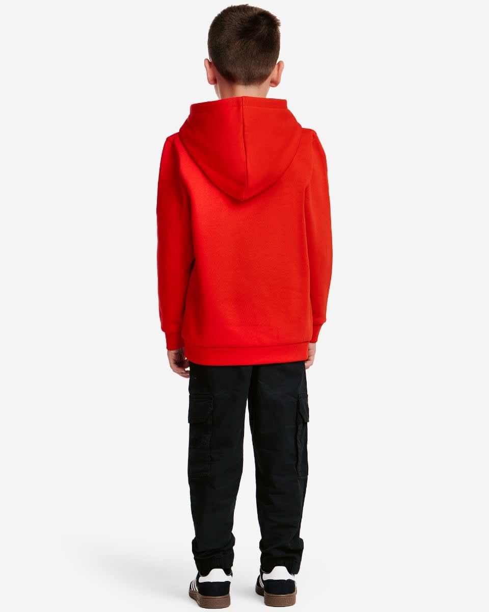 INF LIVERBIRD HOODY (Change Me) - Image 3