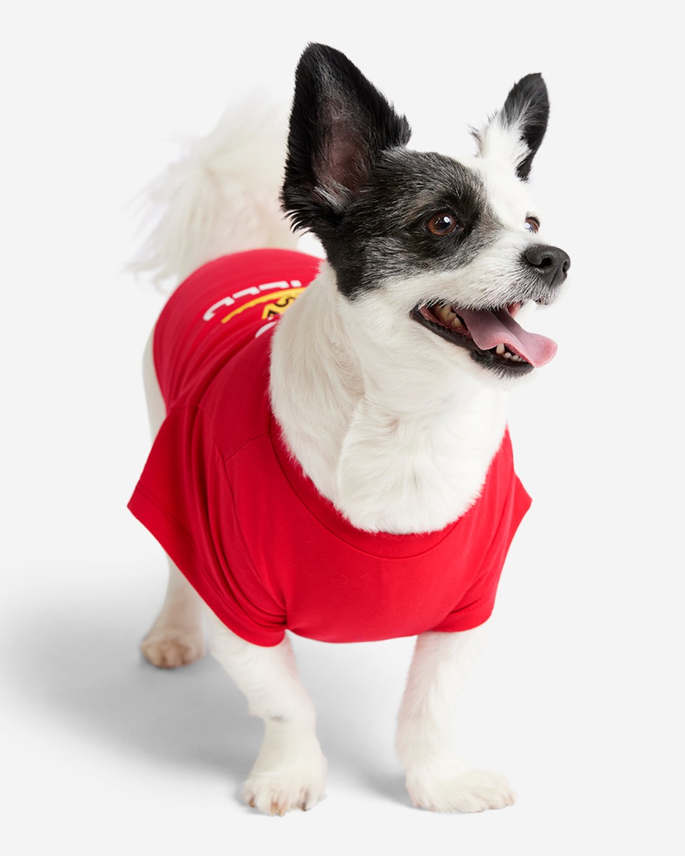 LFC Dog Detta är Anfield Tee - Image 2