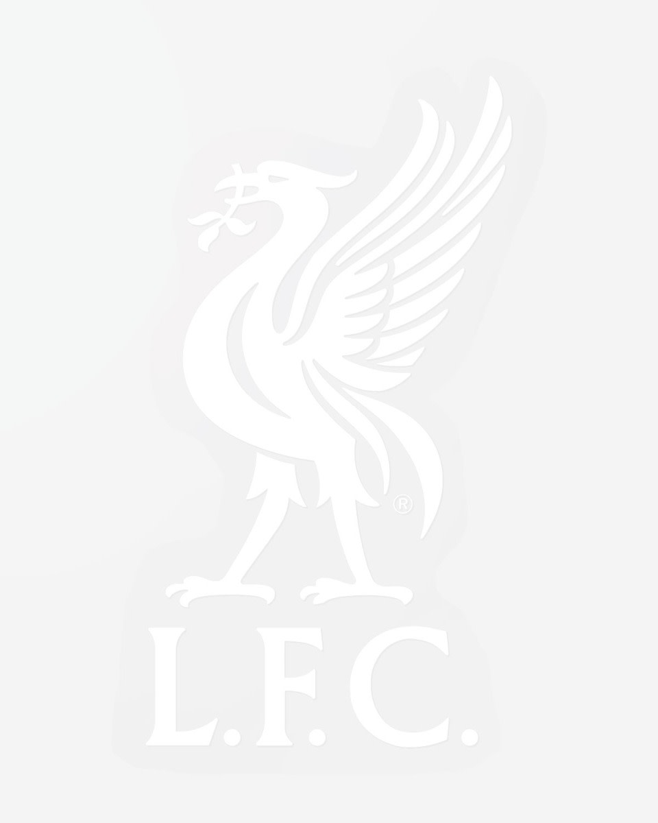 Adhesivo LFC para coche pequeño - Image 1