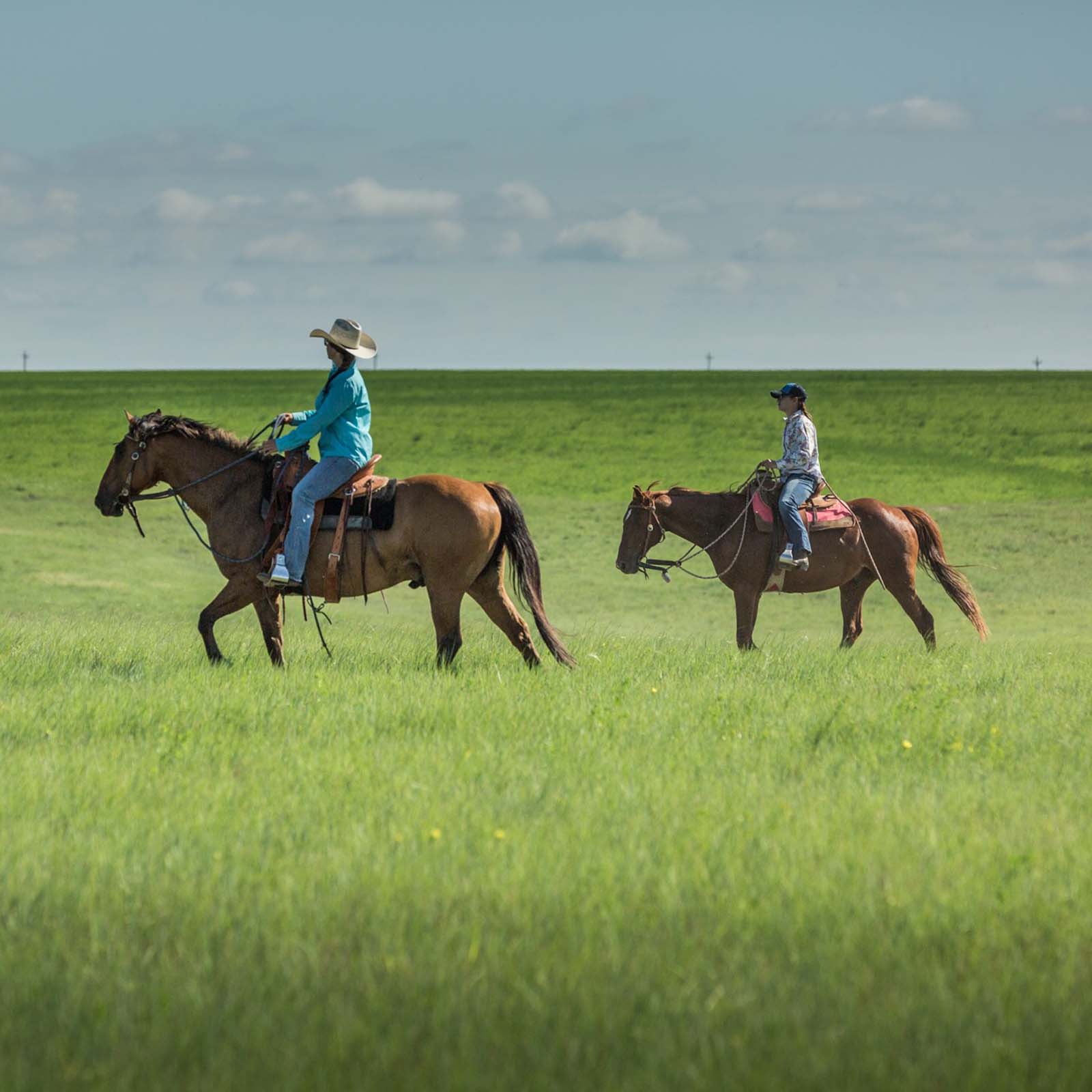 Regenerative ranching: balancing nature and nurture