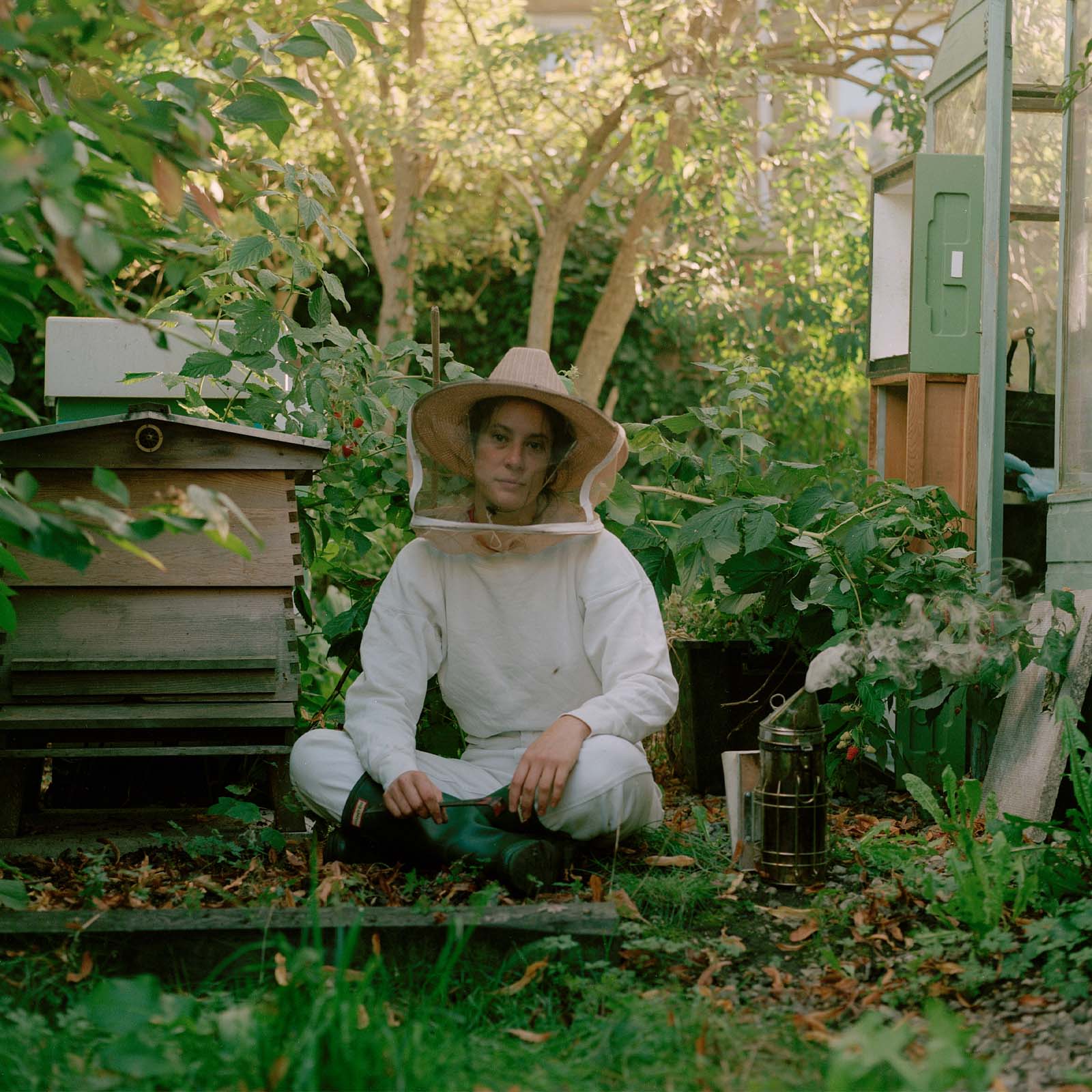 Snapshot: beekeeping in London