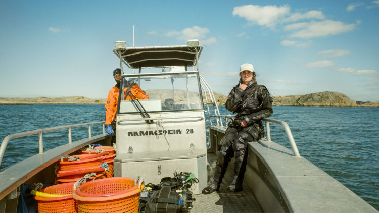 Lotta Klemming: Sweden's female oyster diver 