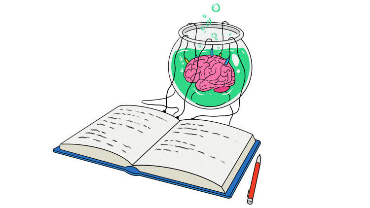 brain book