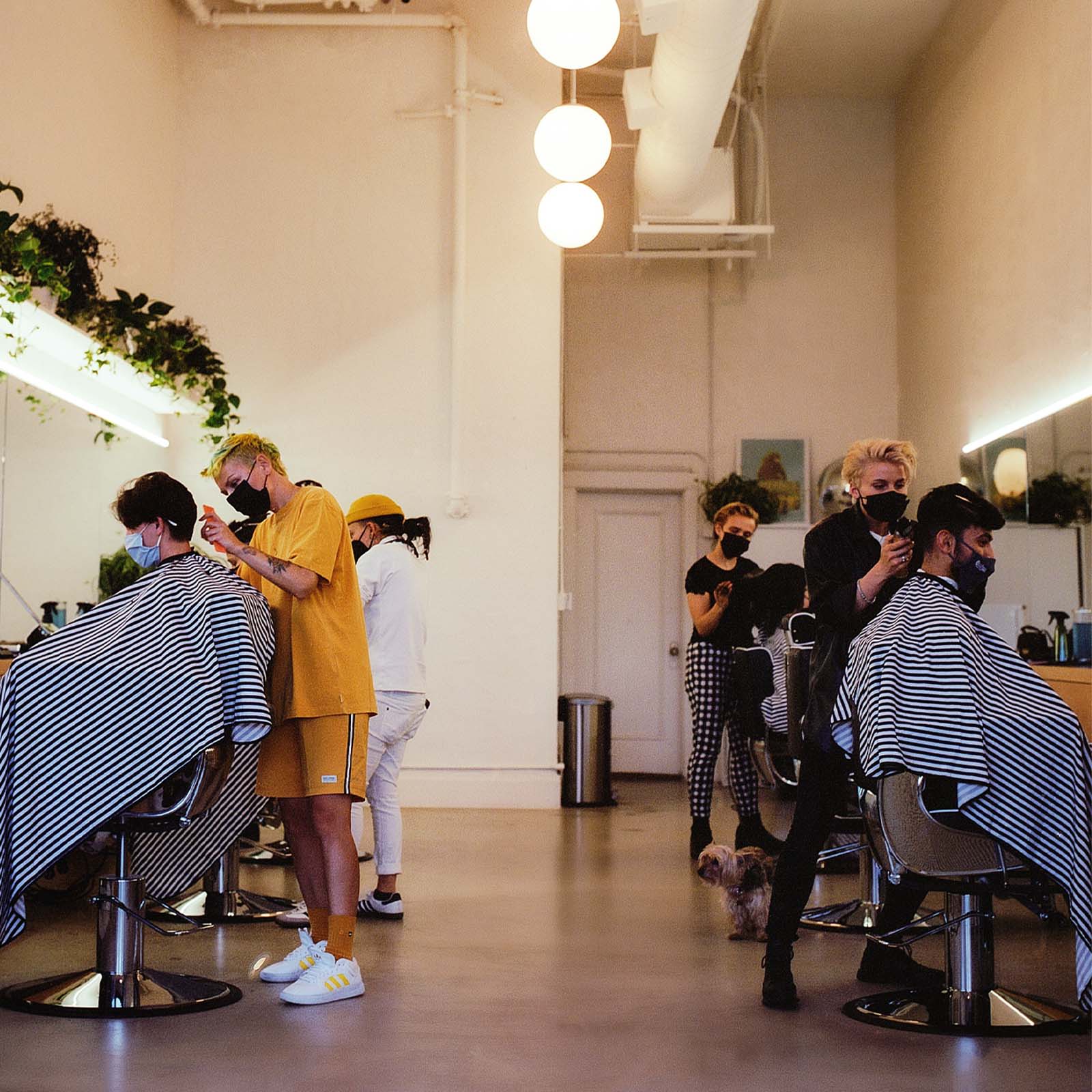 Hairrari: restyling the barbering industry