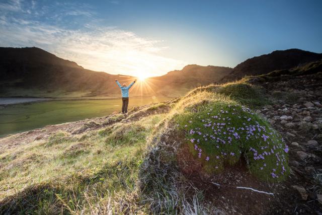 Sunrise over a grass field, person with outstretched arms