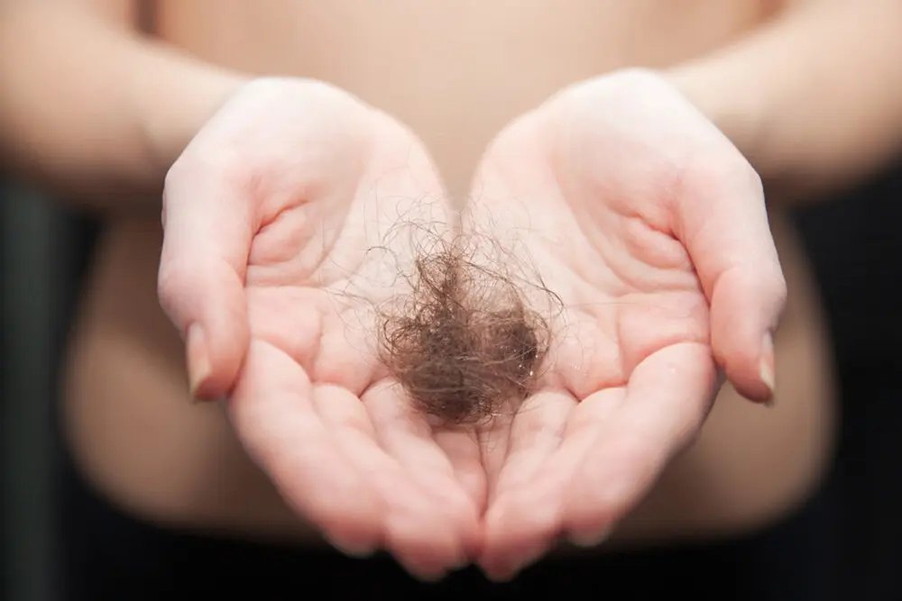 les mains d'une femme tenant une grosse touffe de cheveux