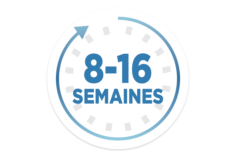 icône de 8 à 16 semaines