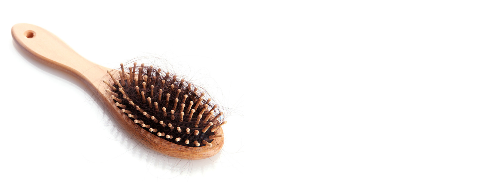 bundle of hair on a hairbrush