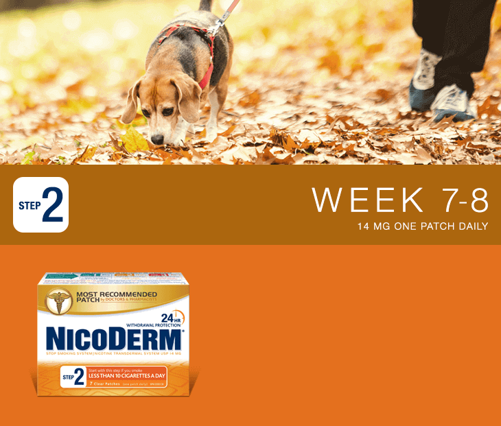 Nicoderm Step 2 - 14 MG Nicotine Patch