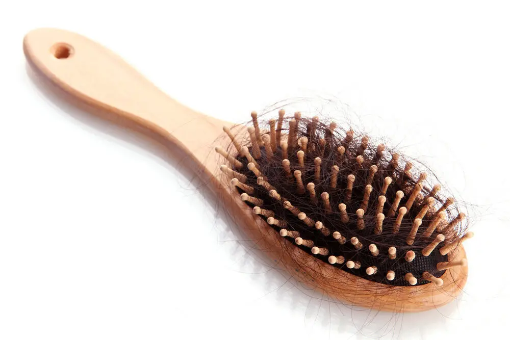 une grande quantité de cheveux sur une brosse à cheveux