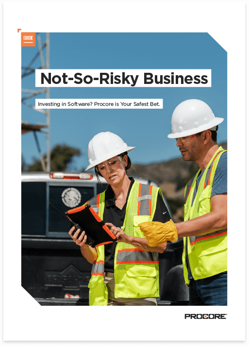 Cover of Not So Risky Business Ebook