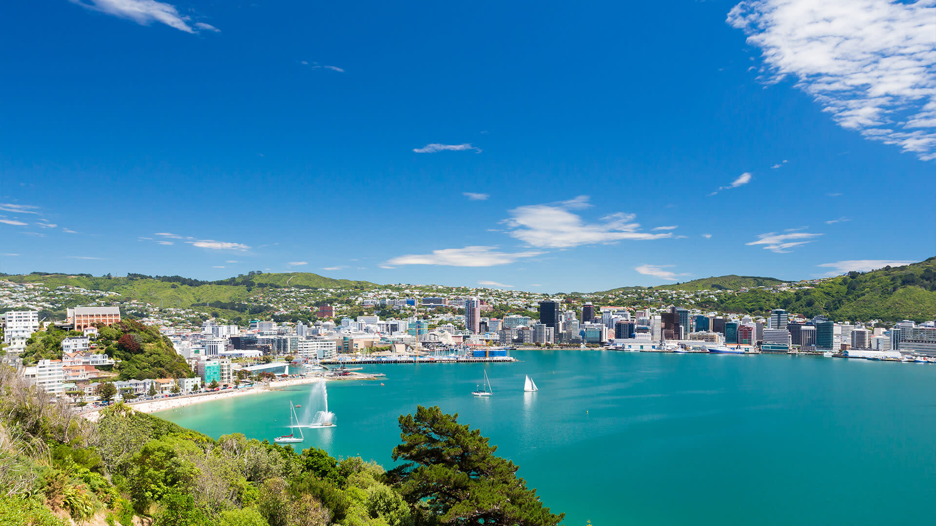 Aerial view of a beach city