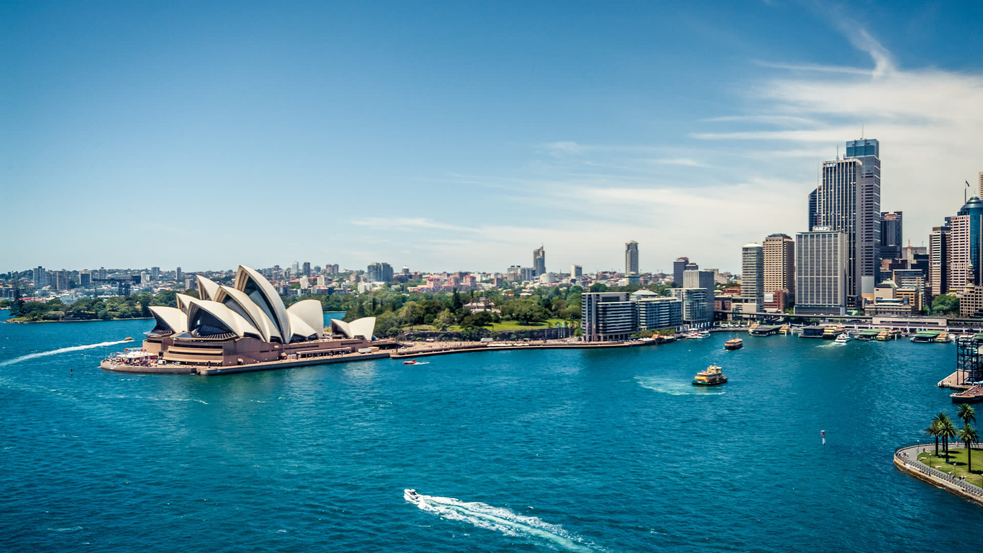 Aerial view of Sydney